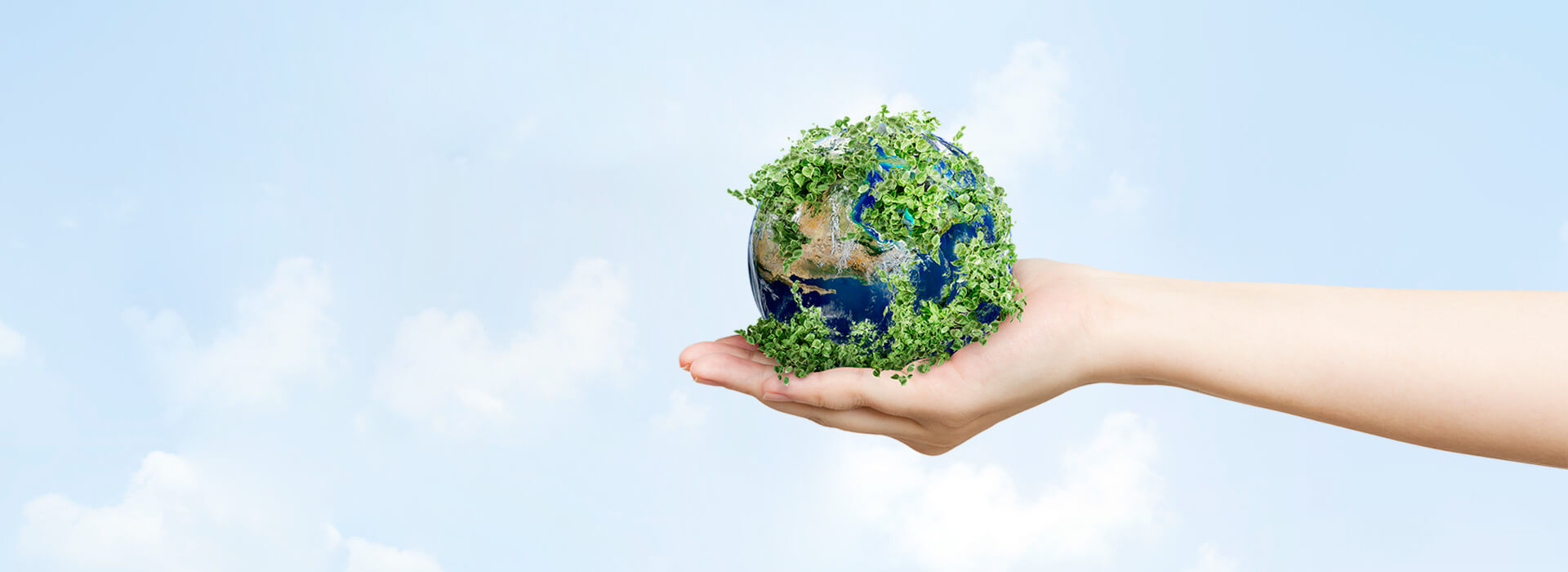 Sürdürülebilirlik Politikası